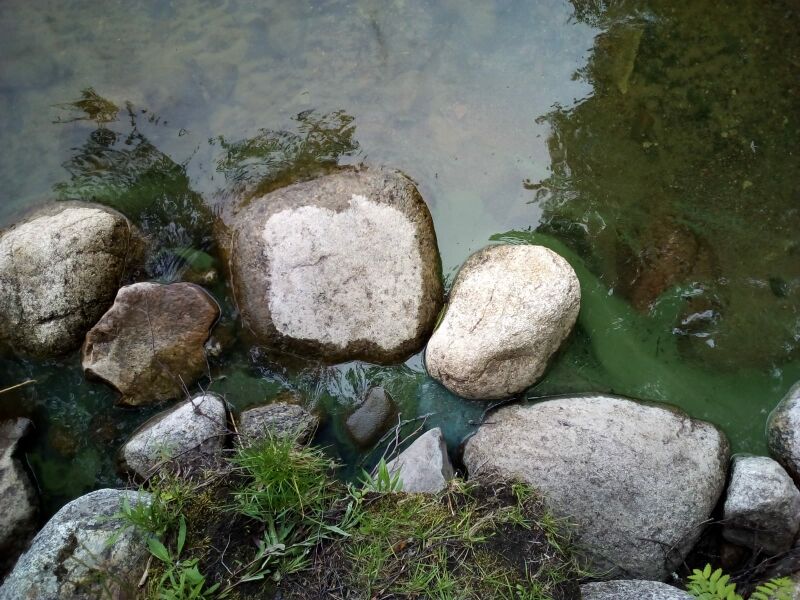 Tiedosto:Pyhäjärvi (04.391.1.001)-Tiitanranta ja Koivuranta-ObsIMG-201807041428-50.jpg