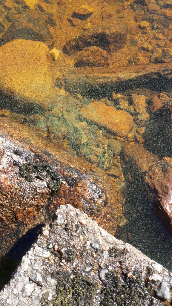 Raanujärvi (67.962.1.002)-Pellontie P-alue veneenlaskupaikka-ObsIMG-201807011059-5.jpg