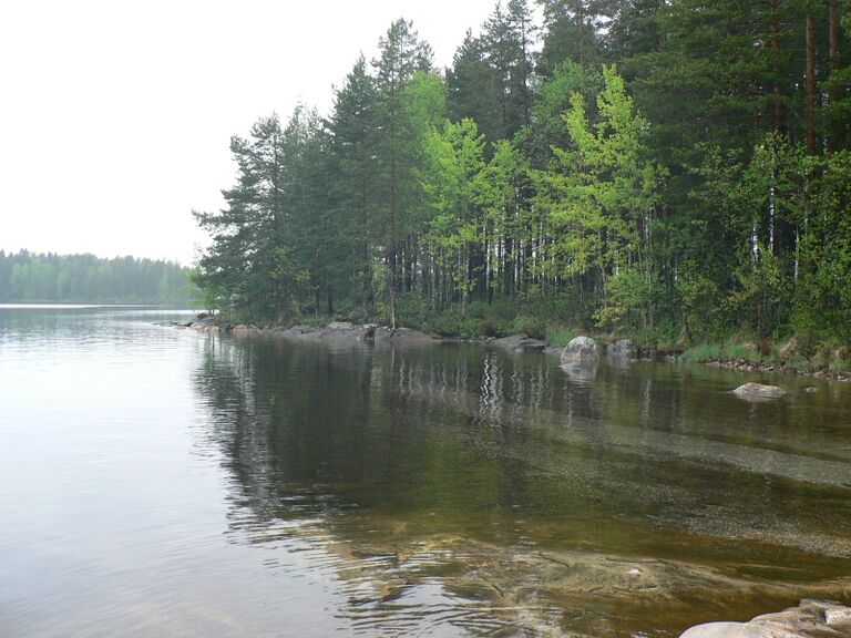 Riihiniemi Toukokuussa.JPG