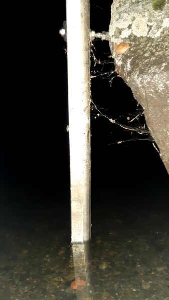 Tiedosto:20200913 224702.jpg