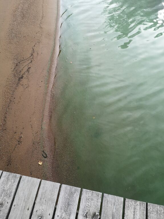 Juurusvesi - Akonvesi (04.611.1.001)-Havaintopaikka 1-ObsIMG-201909211333-51.jpg