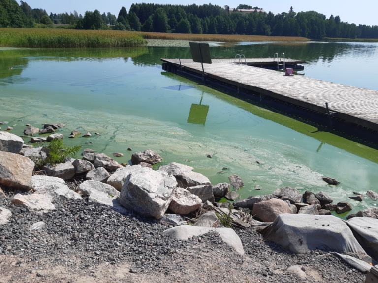 Tuusulanjärvi (21.082.1.001)-Tervanokan uimaranta-ObsALG-202107261546-60feaee86a9c5.png