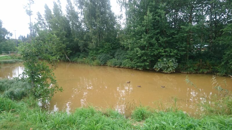 Tiedosto:Välialue (81V050)-Kumpulan puro-ObsIMG-201708301600-39.jpg