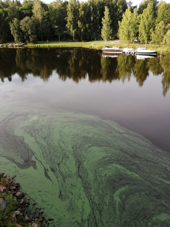 Vanajavesi (yhd.)-Rautatiensilta-ObsALG-202208230730-6304b20982104.png