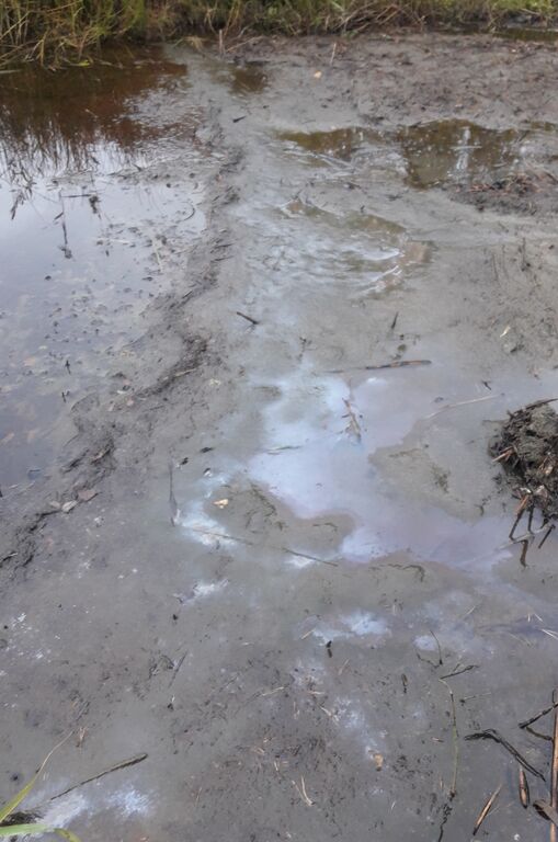 20200930 091322 Kannuslahti.jpg