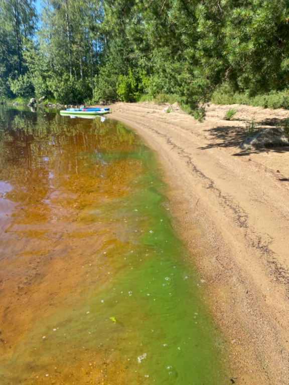 Keurusselkä - Ukonselkä (yhd.)-Havaintopaikka 3-ObsIMG-202107031127-60e04a5d9c73a.png
