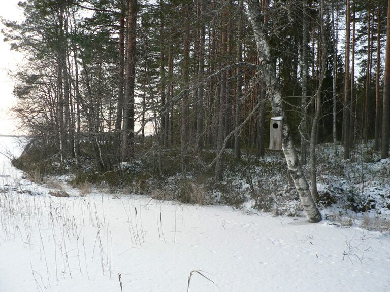 Telkän uuttu talvella.JPG