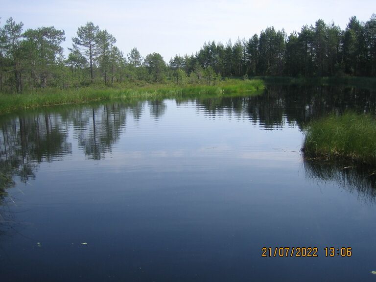 Tuppuralammen laiturilta.JPG