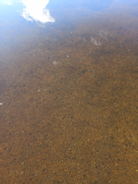 Tiedosto:Ukonvesi (Saimaa) (04.151.1.001)-Valtakunnallinen sinileväseuranta (Launialan uimaranta)-ObsALG-202109281242-6152e3c3dd16b.png