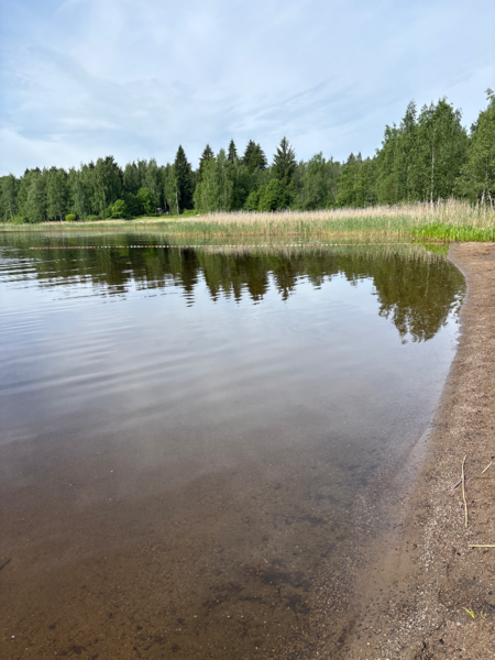 Tiedosto:Ukonvesi (Saimaa) (04.151.1.001)-Valtakunnallinen sinileväseuranta (Launialan uimaranta)-ObsIMG-202606090937-1780988132455.png