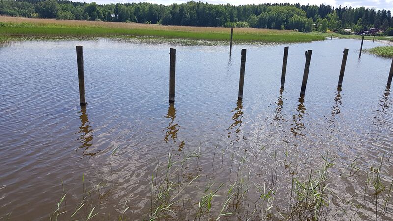 Tiedosto:10062020 Uddas 2.jpg