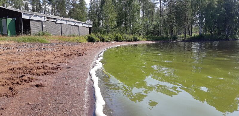 Tiedosto:Höytiäinen (04.821.1.001)-Entisen varuskunta-alueen uimaranta-ObsIMG-201907211310-72.jpg