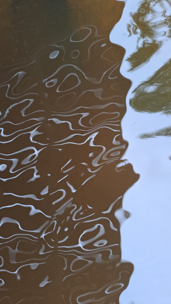 Tiedosto:Luodonjärvi (99.110.1.001)-Valtakunnallinen sinileväseuranta-ObsALG-202606010840-1780308154224.png