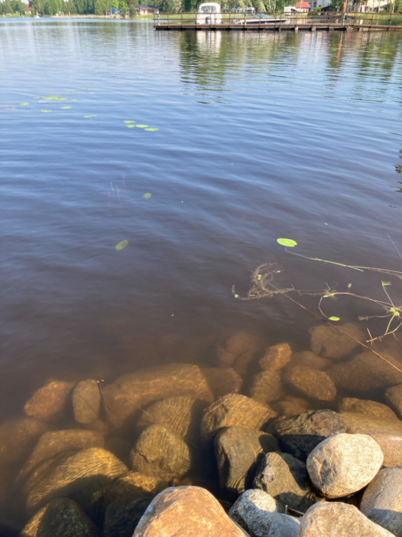 Päijänne (yhd.)-Valtakunnallinen sinileväseuranta (Majutvesi)-ObsALG-202206280939-62baa2a34d4ef.png