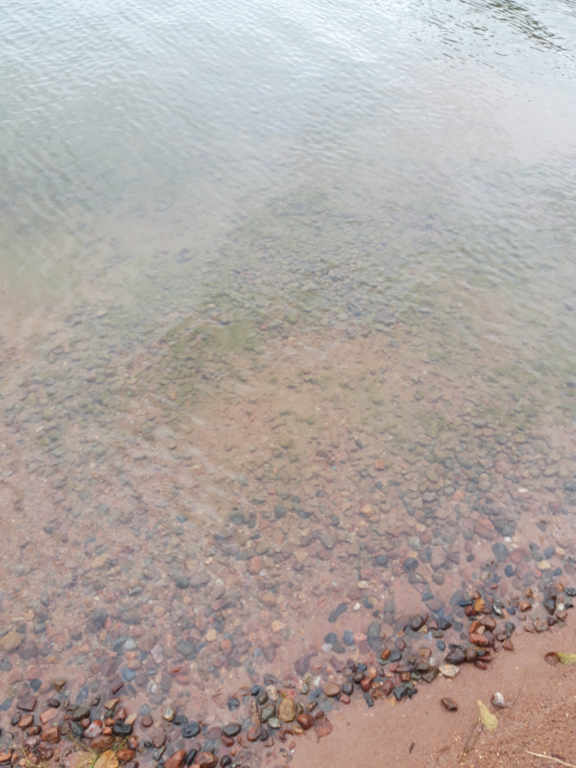 Pyhäjärvi (34.031.1.001)-Valtakunnallinen sinileväseuranta (Katismaan uimaranta)-ObsALG-202308021452-64ca434999ac1.png