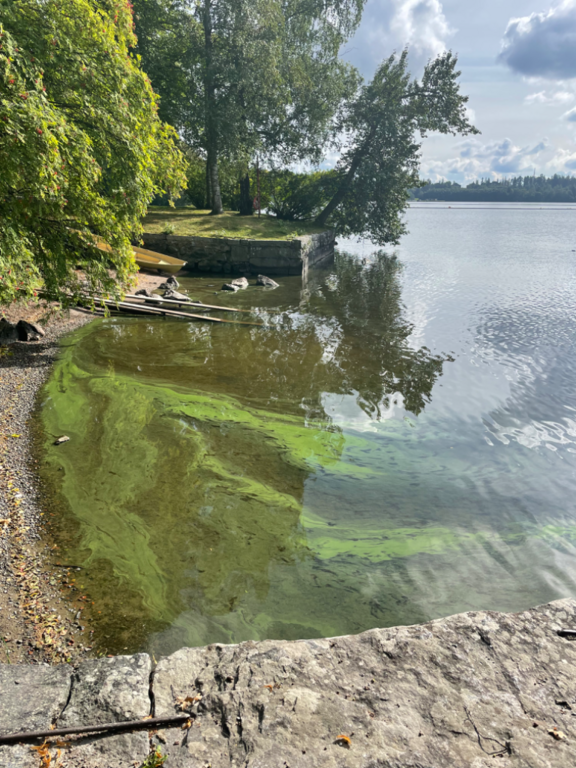 Pyhäjärvi (35.211.1.001)-Arboretum laivalaituri-ObsIMG-202308251540-64eddb805d548.png