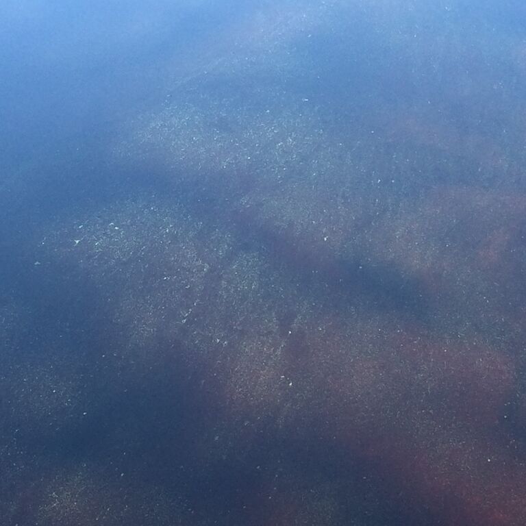 Saarijärvi (14.614.1.002)-Poukama-ObsALG-201807240954-61.jpeg