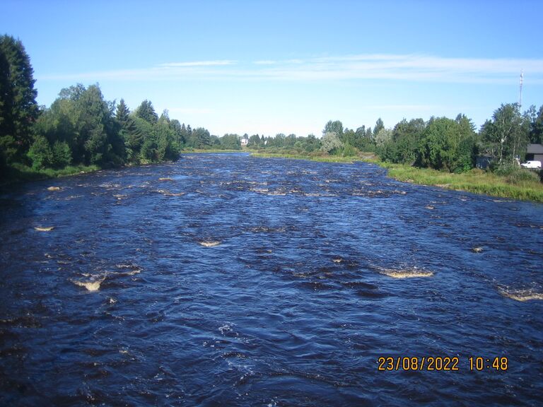 Saarisillalta alajuoksun suuntaan.JPG