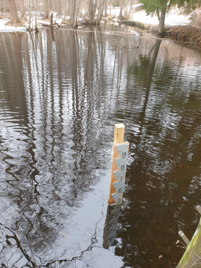 Urpolanjoen valuma-alue (04.152)-Urpolan aarimaan puistoväylän silta-ObsIMG-202503201025-67dbd11a01144.png