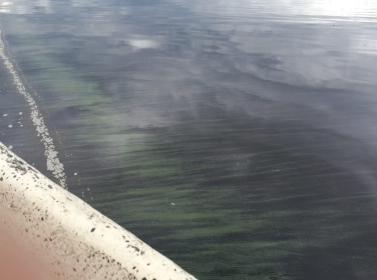 Havainto-Nuasjärvi Rantakylä-ObsIMG-202407031343-66852c57407f2.png