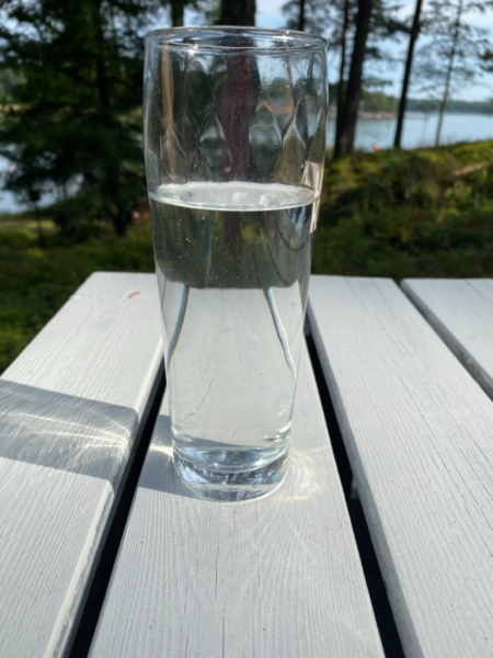 Tiedosto:Inkoo Fagervik-Österviken, Jakob Ramsjö-ObsALG-202107270910-60ffb2a973101.png