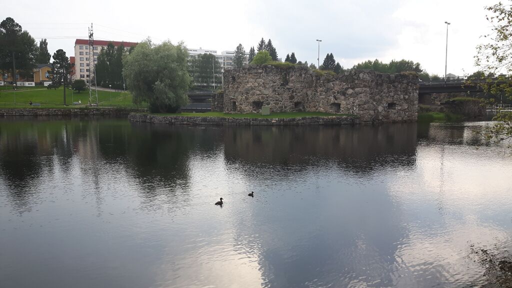 Nuasjärven lähialue (59.811)-Kajaanin linnarauniot-ObsIMG-201607251704-7.jpg