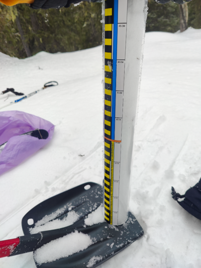 Pallasjärven valuma-alue (65.652)-pallas-ObsSNOW-202603251035-69c39ed851946.png