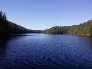 Kuva järven eteläisestä päästä