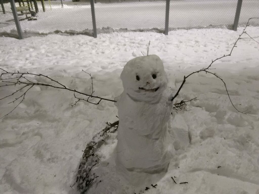 Vihiojan valuma-alue (35.215)-Karosenpuisto-ObsSNOWMAN-202002072110-39.png