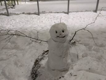 Vihiojan valuma-alue (35.215)-Karosenpuisto-ObsSNOWMAN-202002072110-39.png