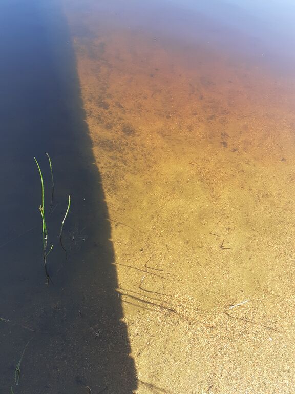 Iso-Lano 20240625.jpg