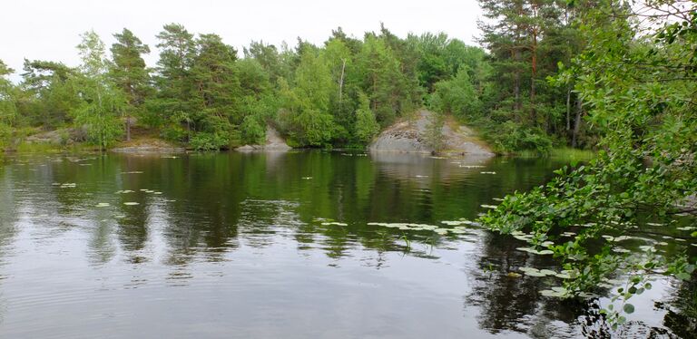 Lilla Masugnsträsket2.jpg