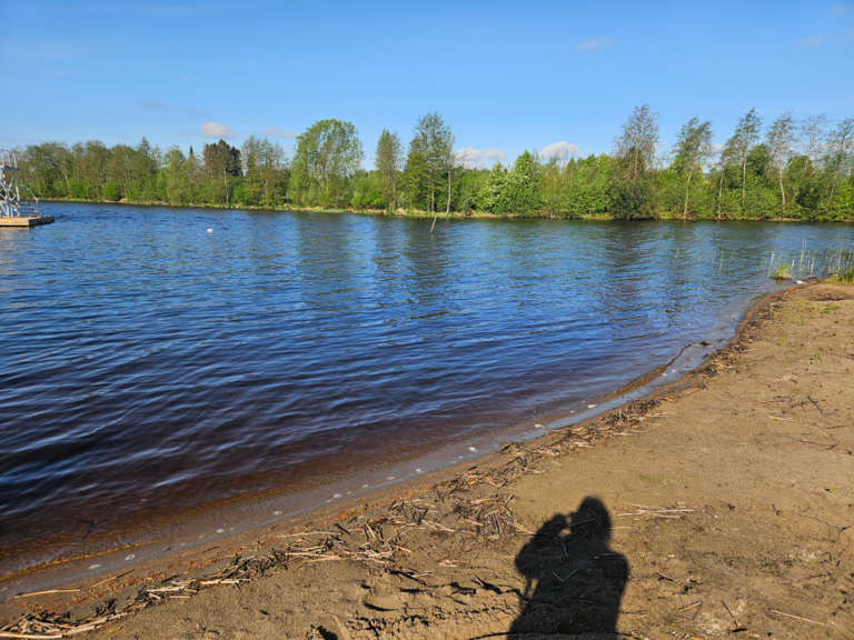 Onkivesi (04.511.1.001)-Valtakunnallinen sinileväseuranta-ObsIMG-202506030833-1748928939652.png