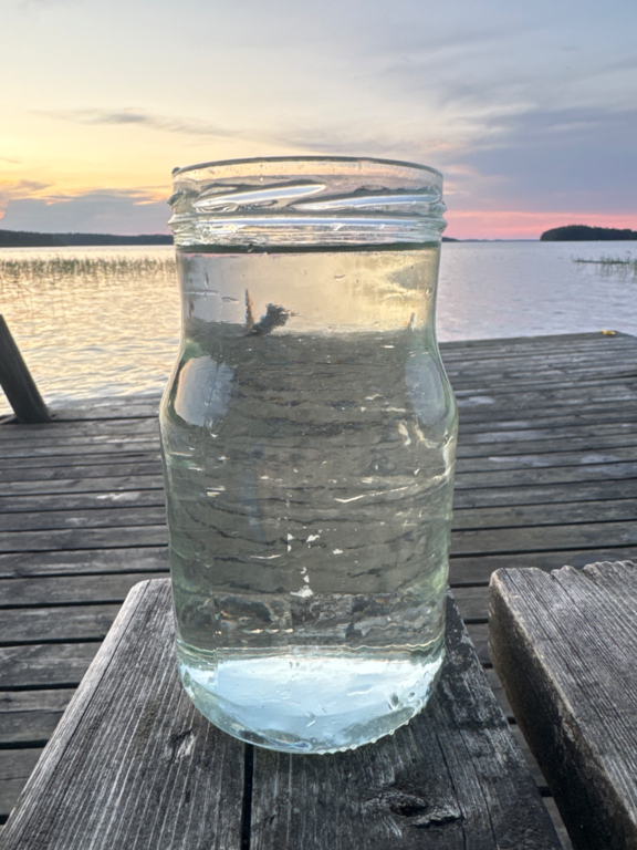 Päijänne (yhd.)-Rotarien sinileväseuranta (Honkaniemi, Kuhapolku)-ObsIMG-202507212221-1753125732050.png