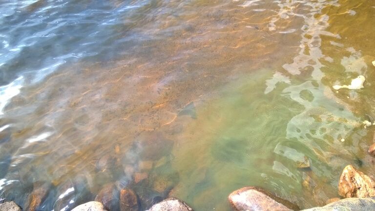 WP 20170822 008 Soukkalahti.jpg