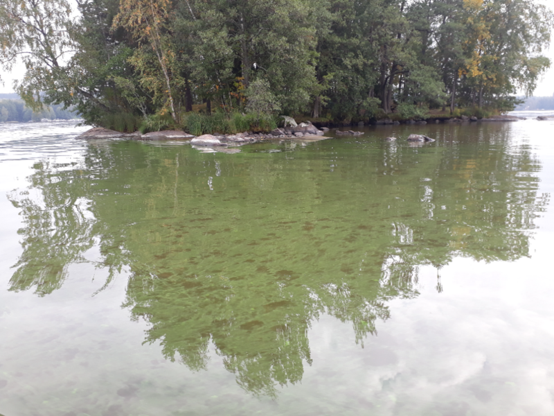 Tiedosto:Hiidenvesi (23.031.1.001)-Hannansaari-ObsALG-202109111647-613e059f716e1.png