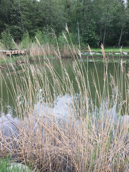 Tiedosto:Luvian sisäsaaristo-Aspiskerin silta-ObsIMG-201905240931-69.jpeg