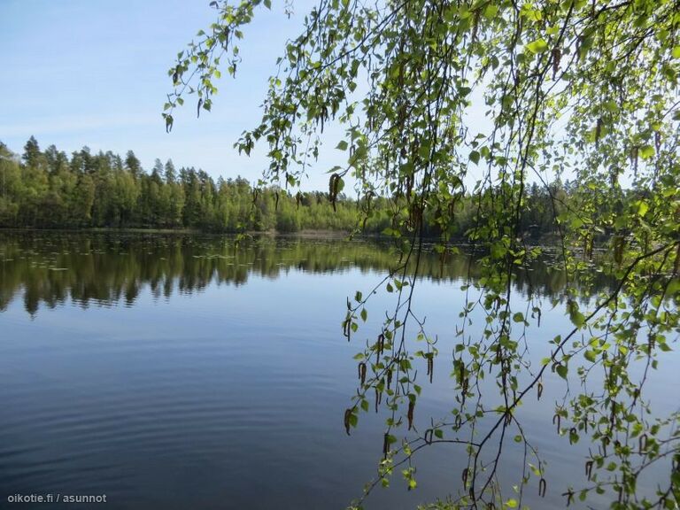 Noitajärven ranta.jpg