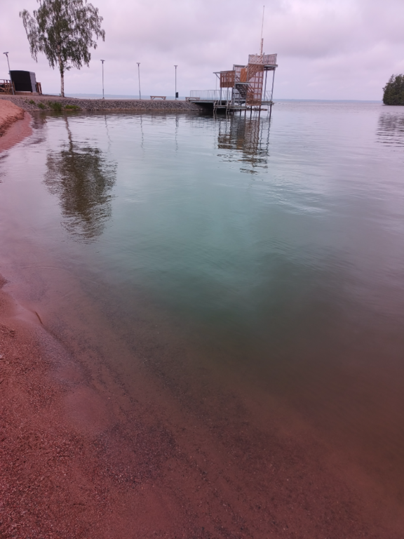 Pyhäjärvi (34.031.1.001)-Valtakunnallinen sinileväseuranta (Katismaan uimaranta)-ObsALG-202506110824-1749619480967.png