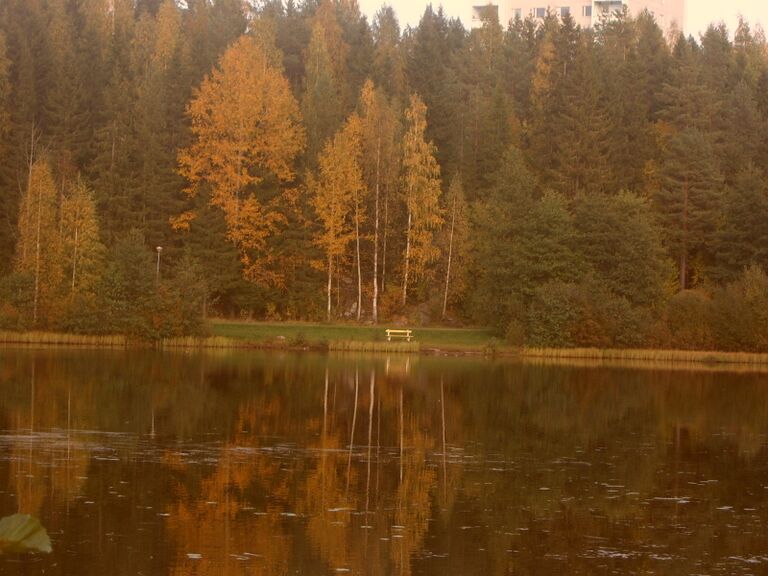 Yhtä & toista 310.jpg