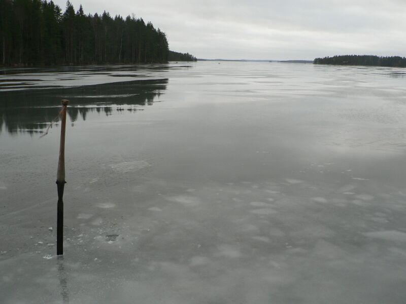 Tiedosto:Kapustalahti 27-12-07.jpg