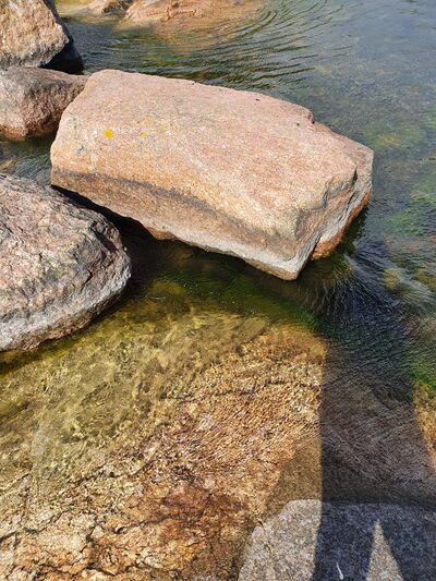 Keipsalo-Rotarien sinileväseuranta (Stora Småholmen)-ObsALG-202008241330-6.jpg