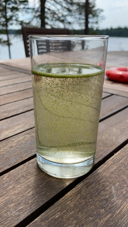 Misijärvi (65.798.1.001)-Misijokisuu-ObsIMG-202107061359-60e438f35b606.png