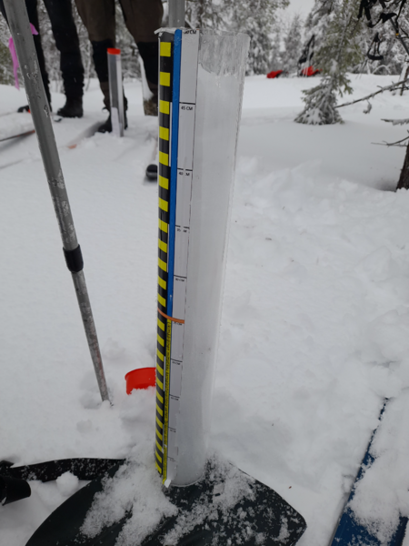 Tiedosto:Pallasjärven valuma-alue (65.652)-Pallaskero-ObsSNOW-202603261111-69c4f91b36def.png