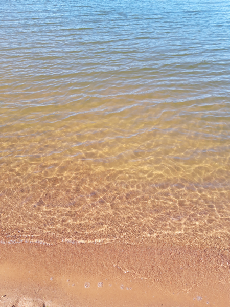 Tiedosto:Pyhäjärvi (34.031.1.001)-Valtakunnallinen sinileväseuranta (Katismaan uimaranta)-ObsALG-202208091221-62f2271a1f9dc.png