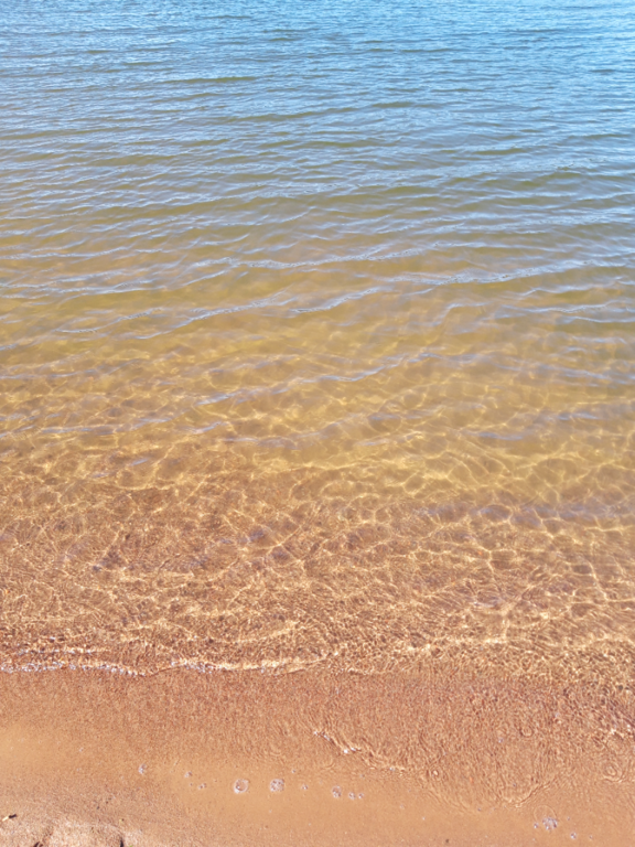 Pyhäjärvi (34.031.1.001)-Valtakunnallinen sinileväseuranta (Katismaan uimaranta)-ObsALG-202208091221-62f2271a1f9dc.png