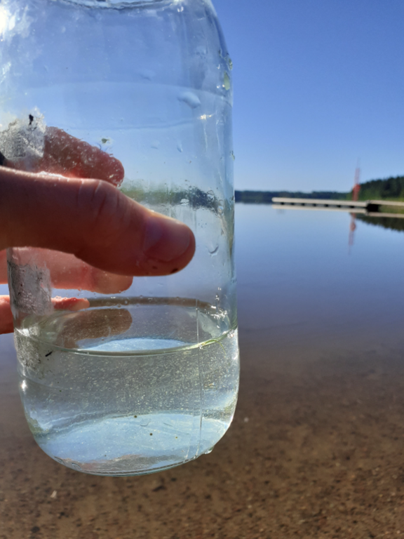 Urajärvi (14.123.1.001)-Valtakunnallinen sinileväseuranta-ObsIMG-202208090852-62f1f699025fe.png