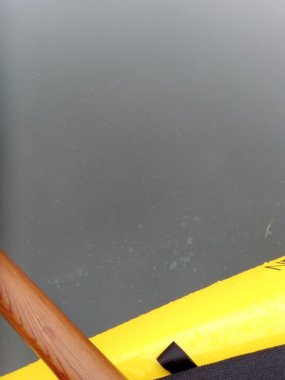 Helsinki-Porkkala-Miessaari Espoo-ObsIMG-201811141121-28.jpg