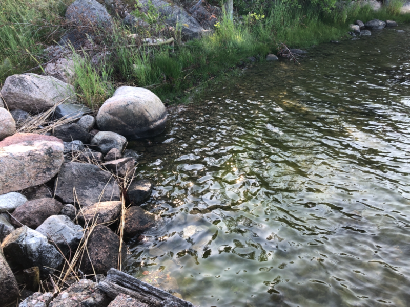 Tiedosto:Iso- ja Pikku-Nauvon vesialue-Rotarien sinileväseuranta (Käldinge strand)-ObsALG-202106231849-60d35846a4966.png