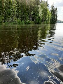 Tyynessä lahdessa lauttoina